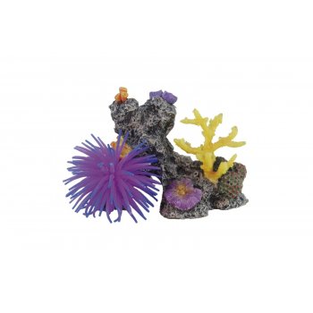 HAQUOSS REEF FANTASY 3 - 12x8,5x10h cm